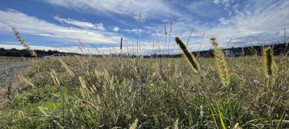  Land in Hitzendorf, Austria No. 212525 2