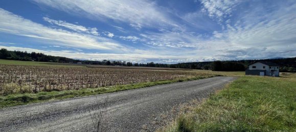  Land in Hitzendorf, Austria No. 212525 4