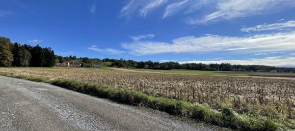  Land in Hitzendorf, Austria No. 212525 6