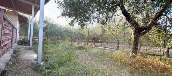 Studio à Barletta, Italy No. 26198 6