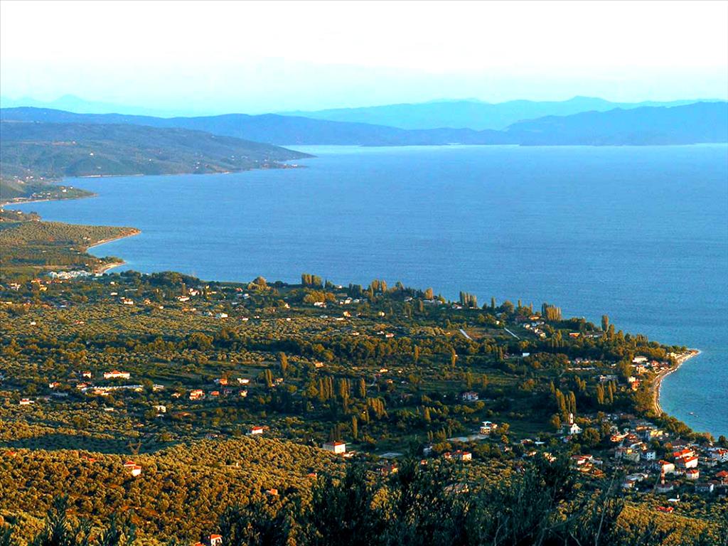  فندق في Koropi, Greece 4000متر مربع رقم 6604