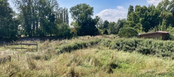 Casa de 5 habitaciónes en Mansfeld-Sudharz, Germany No. 334170 15