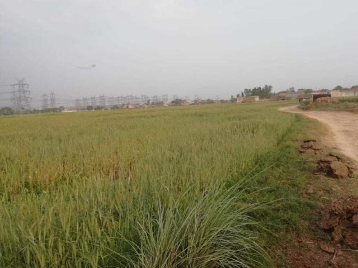  Land in Aligarh, India No. 35816