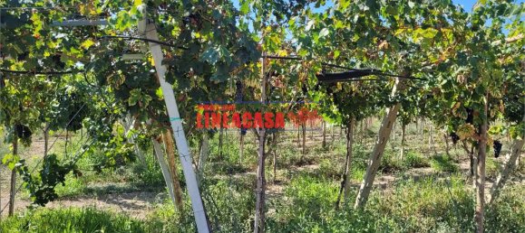 1غرفة قطعة أرض في Cerignola, Italy رقم 85289 4