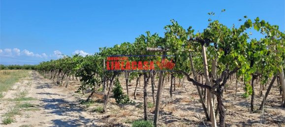 1غرفة قطعة أرض في Cerignola, Italy رقم 85289 12