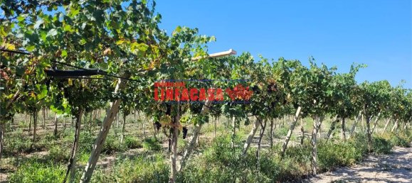 1غرفة قطعة أرض في Cerignola, Italy رقم 85289 3