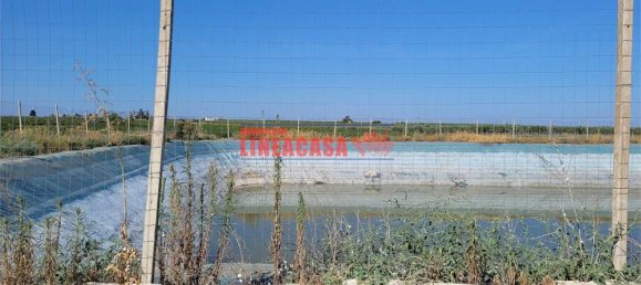 1غرفة قطعة أرض في Cerignola, Italy رقم 85289 5