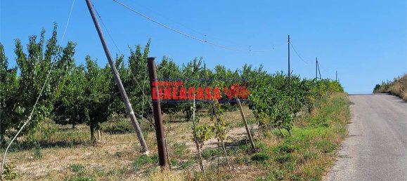 1غرفة قطعة أرض في Cerignola, Italy رقم 85289 7