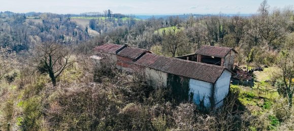 6-salle Maison à Montafia, Italy No. 219332 5