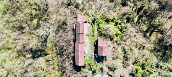 6-salle Maison à Montafia, Italy No. 219332 4