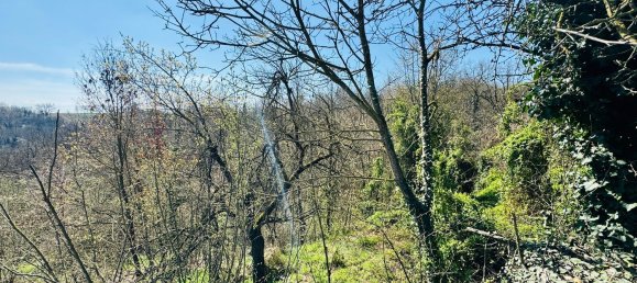 6-salle Maison à Montafia, Italy No. 219332 28