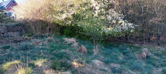  Land in Leverkusen, Germany No. 263852 6