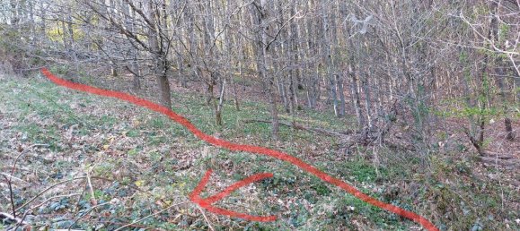  Land in Leverkusen, Germany No. 263852 4