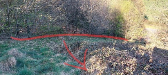  Land in Leverkusen, Germany No. 263852 7