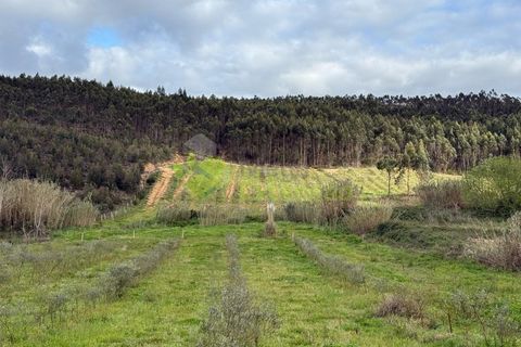  Land in Torres Vedras, Portugal No. 342434