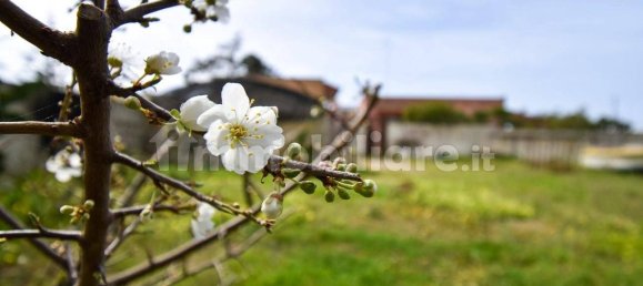 Вилла с 2 спальнями в Porto Cesareo, Италия № 43325 38