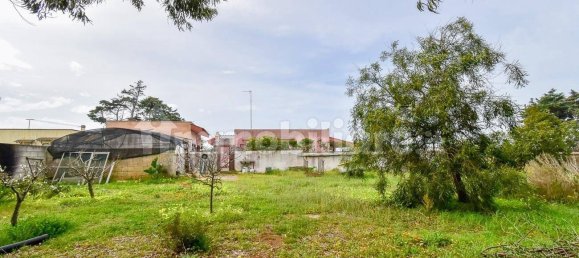 Вилла с 2 спальнями в Porto Cesareo, Италия № 43325 3