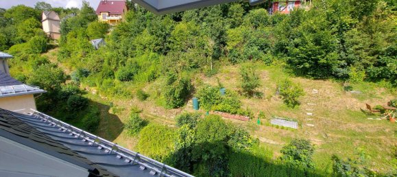 2 bedrooms Apartment in Sachsische Schweiz-Osterzgebirge, Germany No. 180345 17