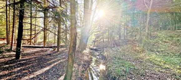 Таунхаус с 11 комнатами в Эннепе-Рур, Германия № 137325 16