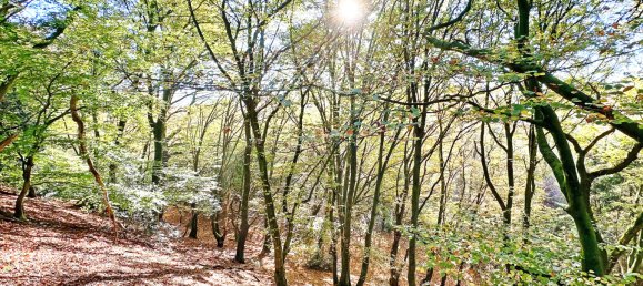 Таунхаус с 11 комнатами в Эннепе-Рур, Германия № 137325 26