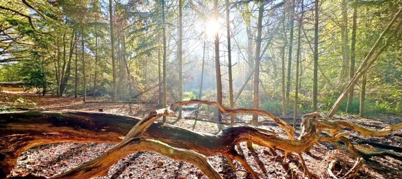 Таунхаус с 11 комнатами в Эннепе-Рур, Германия № 137325 15