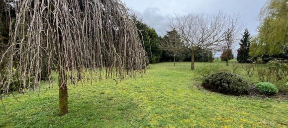 5 bedrooms House in Arcay, France No. 67672 2