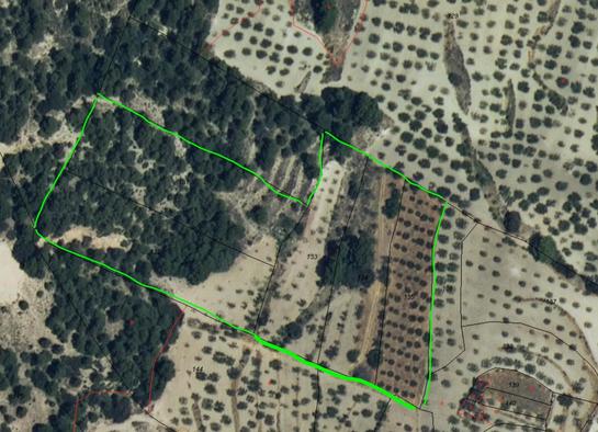 Terrain à Lorca, Spain 15557m² No. 196430