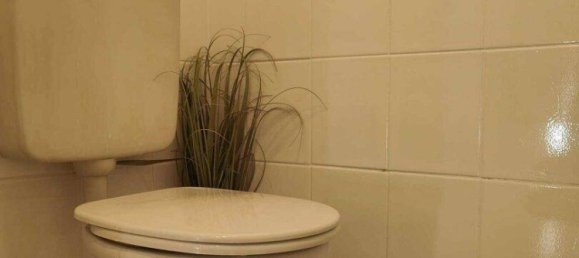 2-Zimmer Wohnung in Favoriten, Austria, Nr. 54662 13