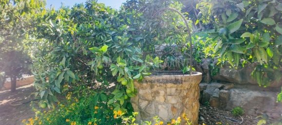 3 bedrooms House in Loule, Portugal No. 118198 35