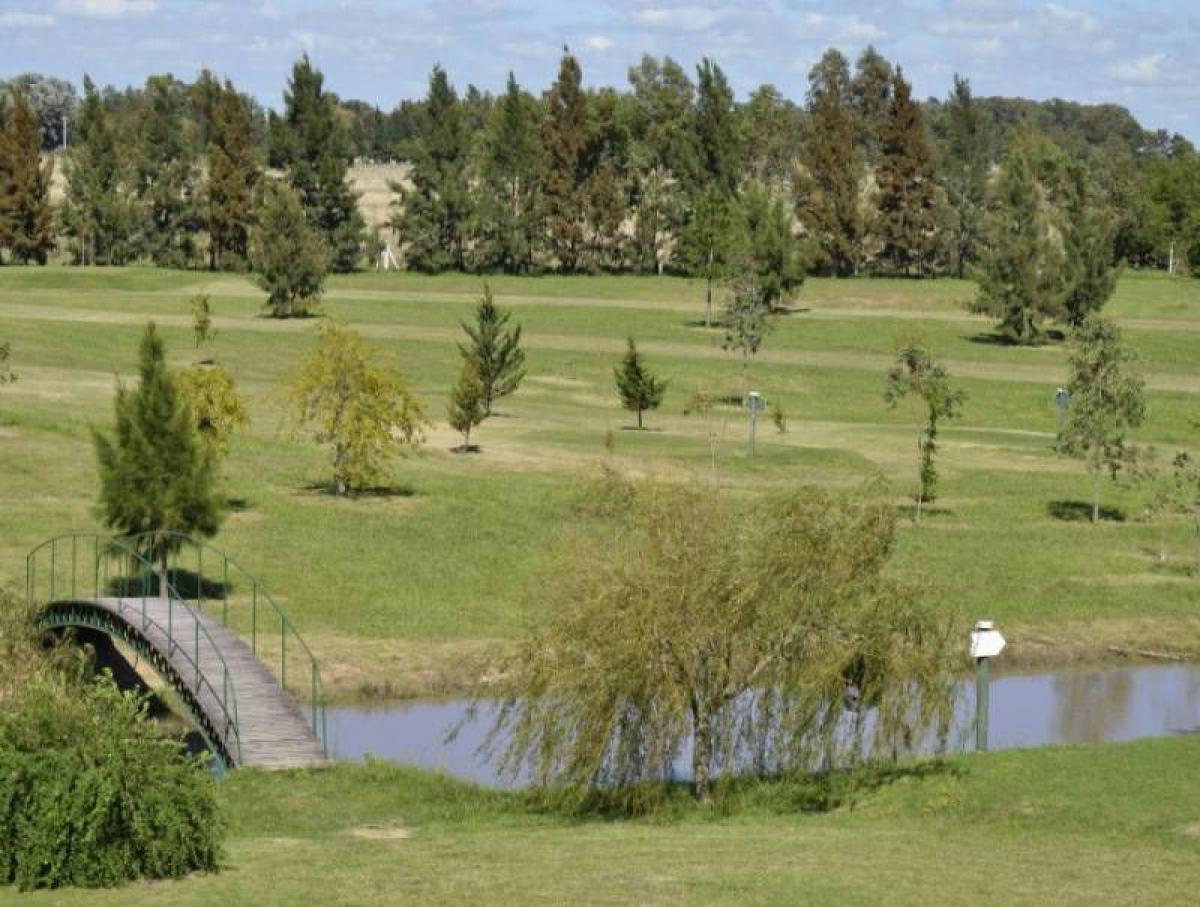  Land in Campo Creado, Argentina No. 115157