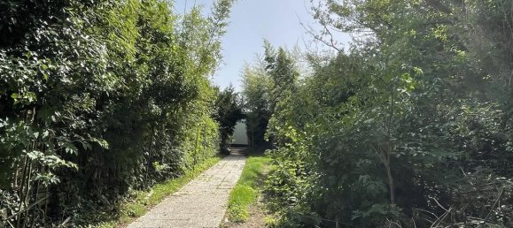 Бунгало с 4 комнатами в Рейн-Зиг, Германия № 197024 33