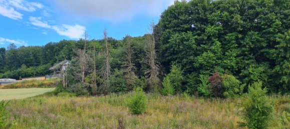 3 bedrooms House in Markischer, Germany No. 242763 39