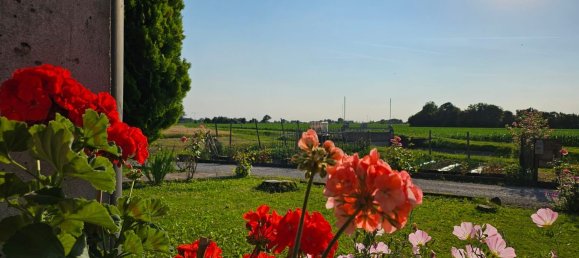 6 rooms House in Fossalta di Piave, Italy No. 206182 11