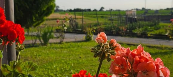 6 rooms House in Fossalta di Piave, Italy No. 206182 14