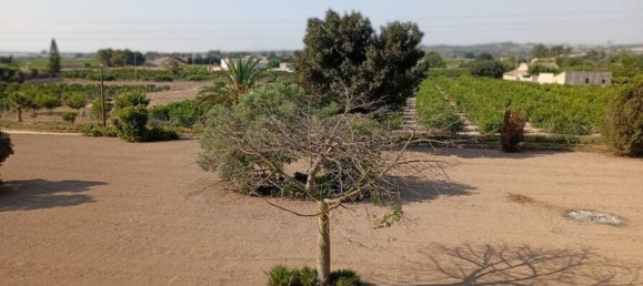 4 bedrooms House in Daya Nueva, Spain No. 132716 34