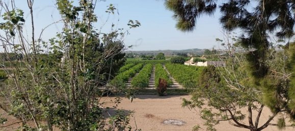 4 bedrooms House in Daya Nueva, Spain No. 132716 27