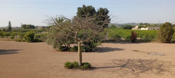 4 bedrooms House in Daya Nueva, Spain No. 132716 48