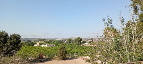 4 bedrooms House in Daya Nueva, Spain No. 132716 51