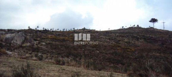  قطعة أرض في Marco de Canaveses, Portugal 48000متر مربع رقم 56222 2