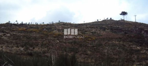  قطعة أرض في Marco de Canaveses, Portugal 48000متر مربع رقم 56222 5