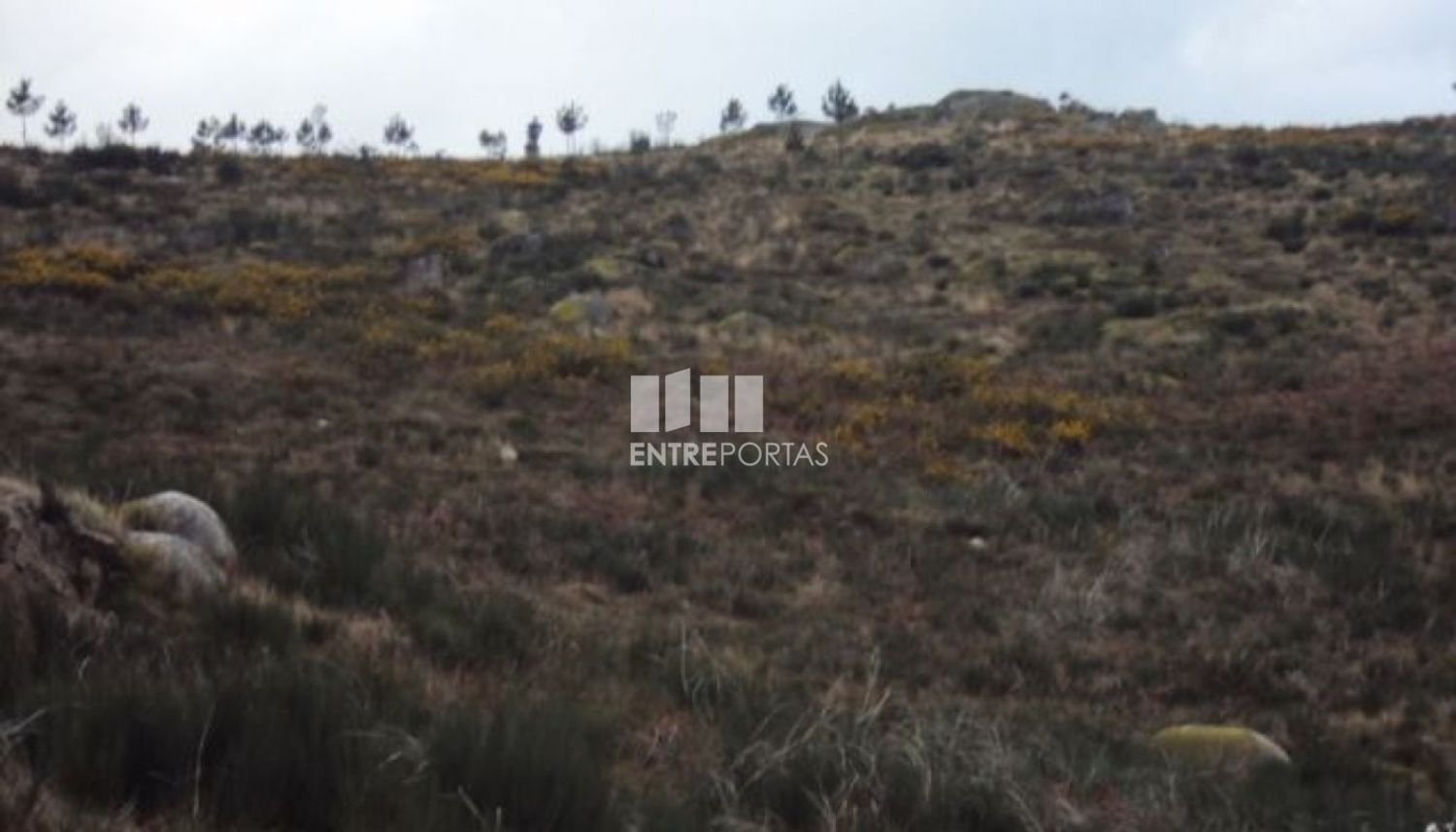  قطعة أرض في Marco de Canaveses, Portugal 48000متر مربع رقم 56222