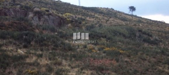  قطعة أرض في Marco de Canaveses, Portugal 48000متر مربع رقم 56222 6