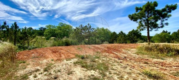 5150m² Land in Sesimbra, Portugal No. 92306 8