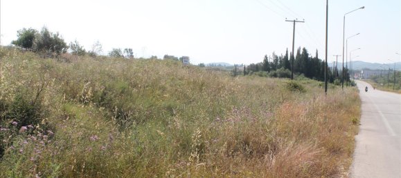 30000m² Hotel in Corfu, Greece No. 7664 6