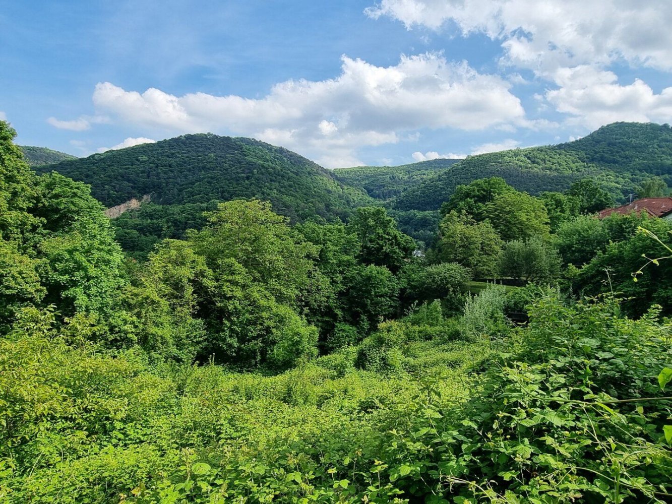 Terreno em Kaltenleutgeben, Austria 748 m² N.º 152245