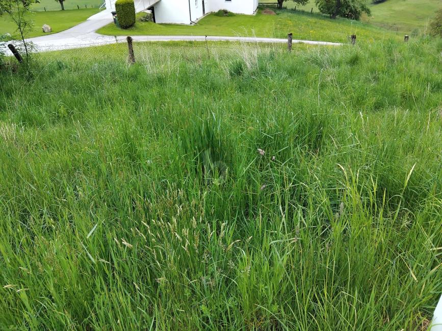 Земельный участок в Гриффен, Австрия № 226880