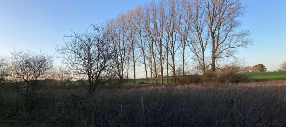  قطعة أرض في Ludwigslust-Parchim, Germany رقم 131631 2