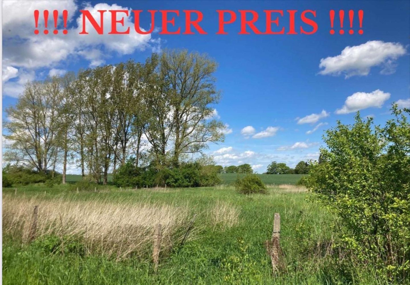  قطعة أرض في Ludwigslust-Parchim, Germany رقم 131631