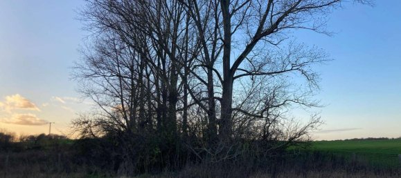  قطعة أرض في Ludwigslust-Parchim, Germany رقم 131631 4