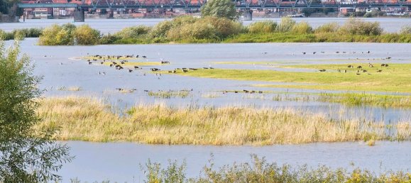 Дом с 3 спальнями в Люнебург, Германия № 227419 20